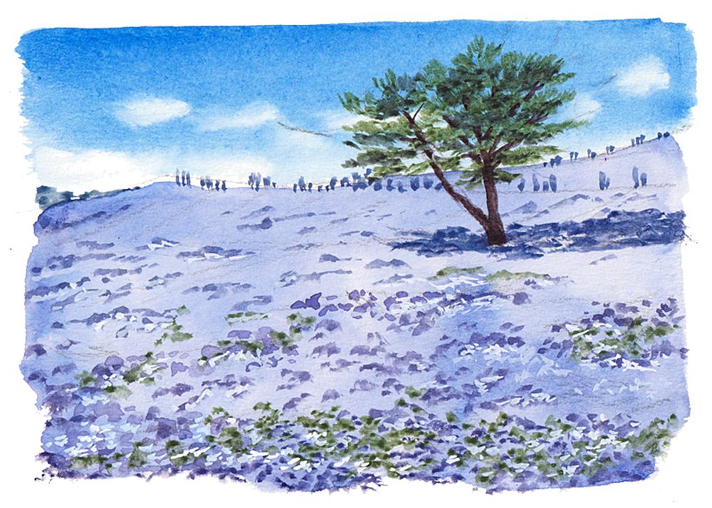 絵はルールで描く 絵の描き方基礎の基礎
