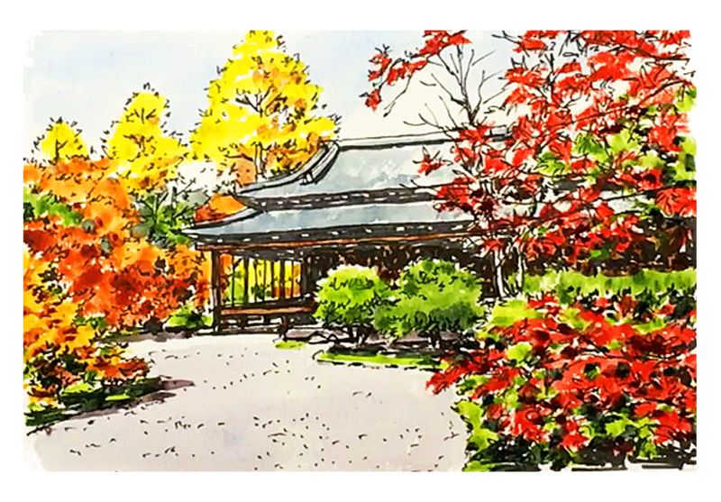 絵はルールで描く 絵の描き方基礎の基礎