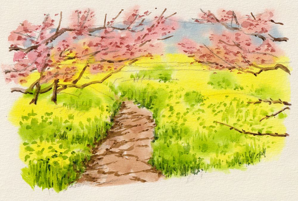 絵はルールで描く 絵の描き方基礎の基礎