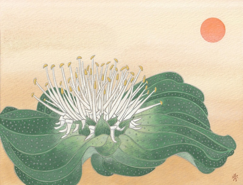 108/日本画・アクリル画で楽しむ 花彩る絵画教室