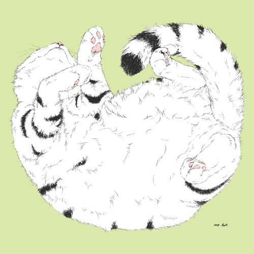 好きな画材を選べる やさしい動物画 秋の新規生募集9・10月特別体験会