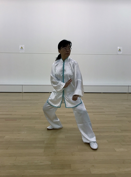 基礎から学ぶ 武術太極拳