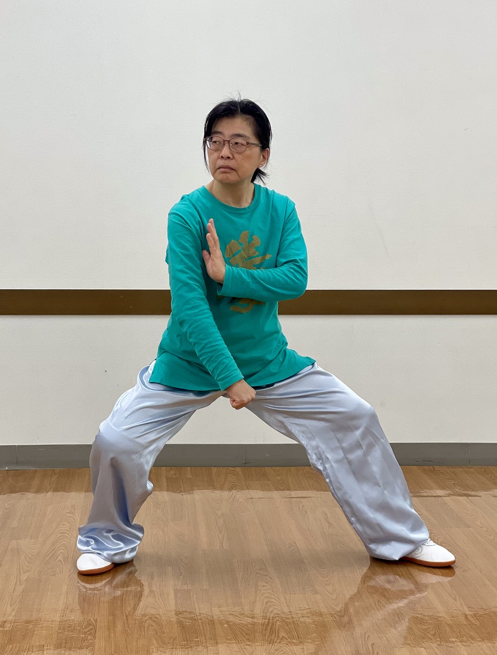 基礎から学ぶ 武術太極拳