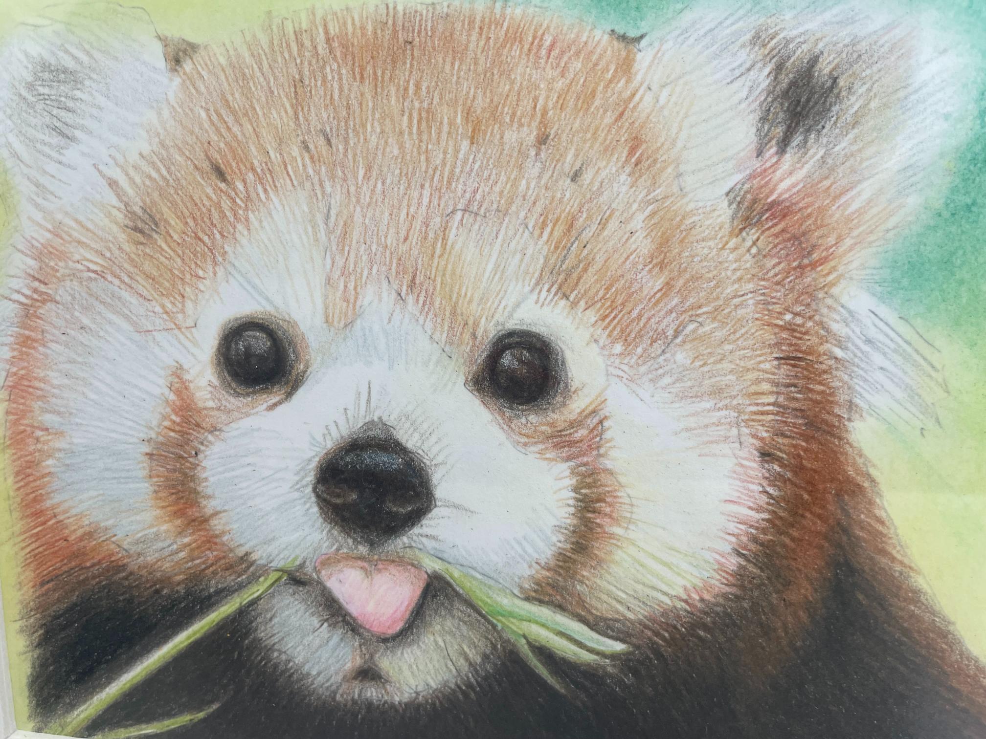 ぬり絵からはじめる はじめての色鉛筆画
