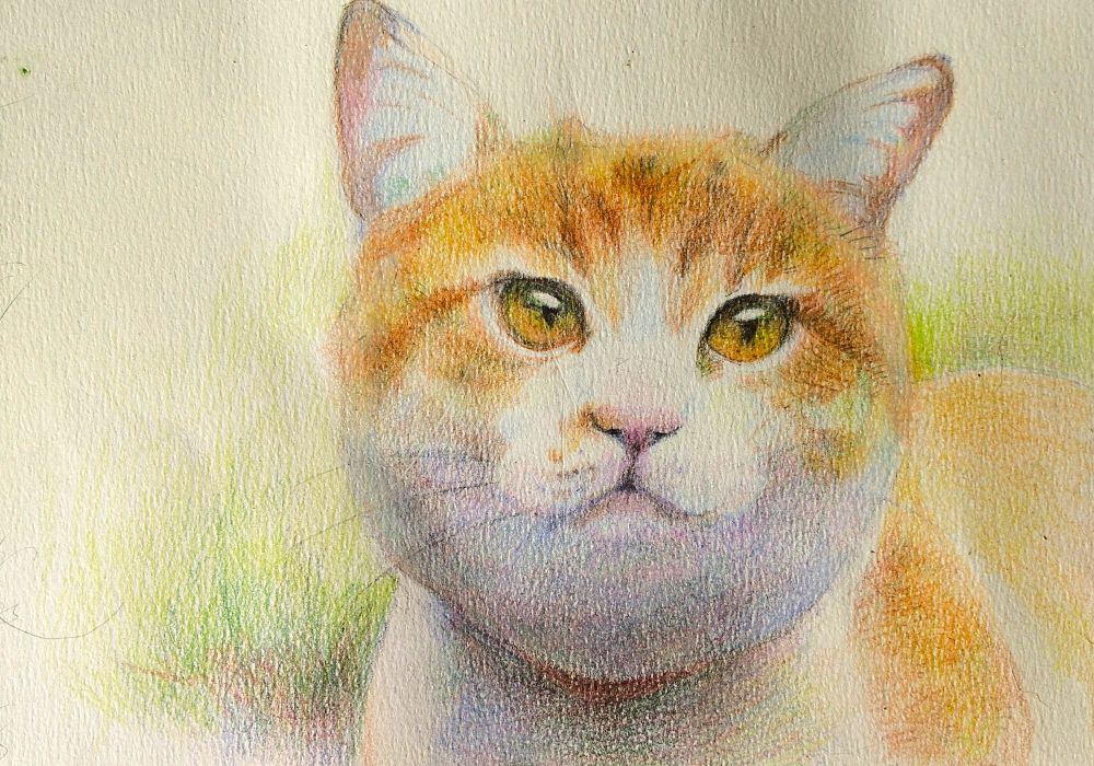 デッサンも学べる かんたん色鉛筆画 ★新講座立ち上げ企画9/28(月)体験費1,100円+教材費220円のみ★