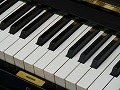 30分個人レッスン(小学生～) 金曜ピアノ 秋の新講座 9/18(金)特別体験会