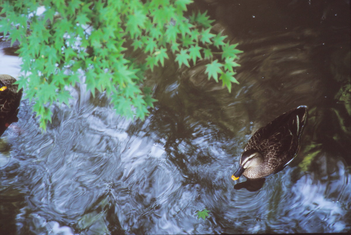 写真教室