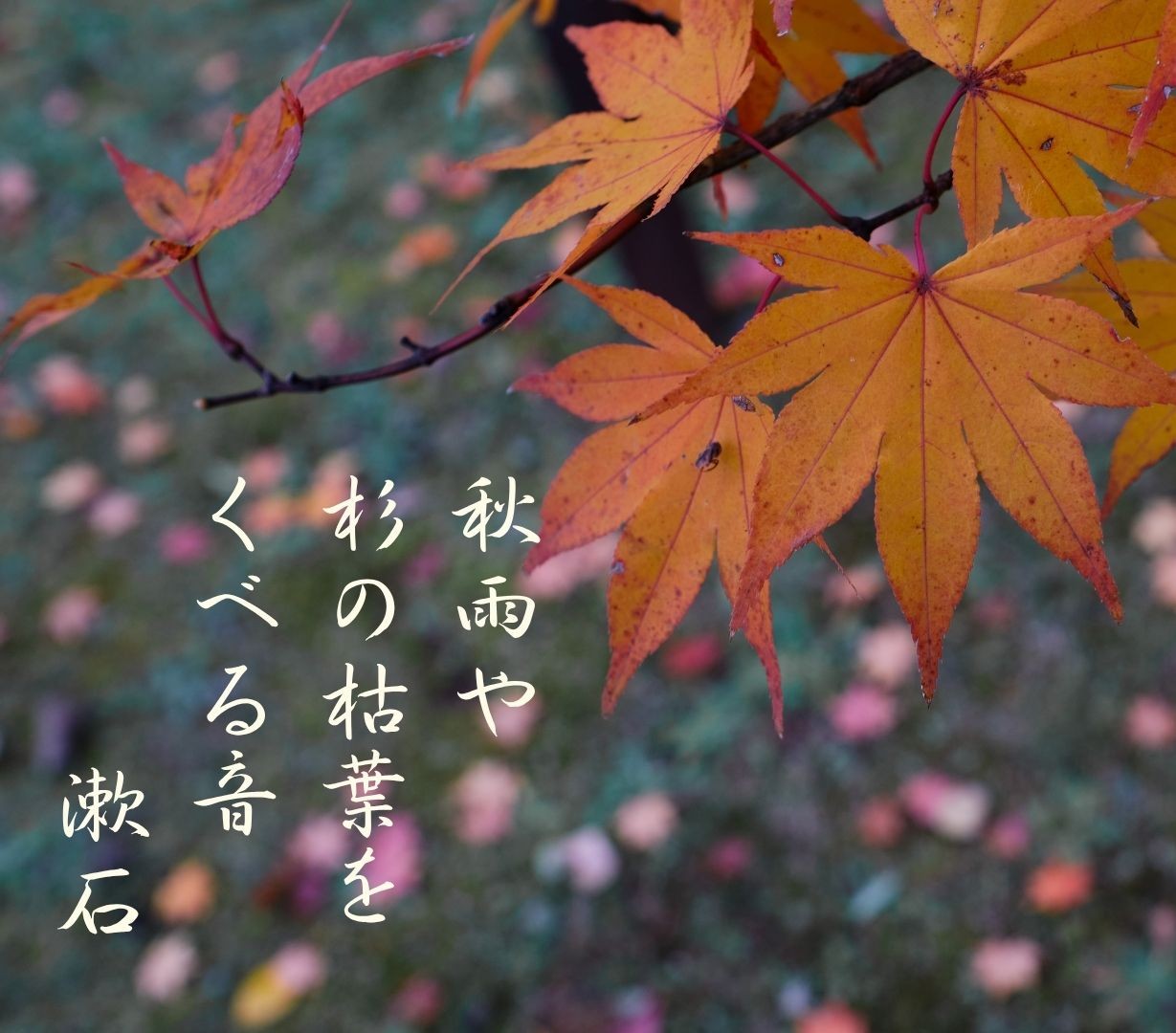 (全6回)十七音の言葉で俳句会 俳句の作り方 秋の新講座 10/20・11/17・12/15・1/19・2/16・3/16(火)