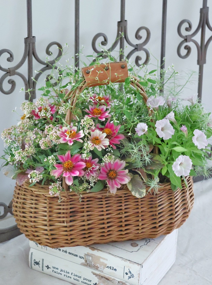 季節のお花を楽しみましょう ★花々の寄せ植えギャザリング 秋の新講座9/17・10/29(木)特別体験会開催