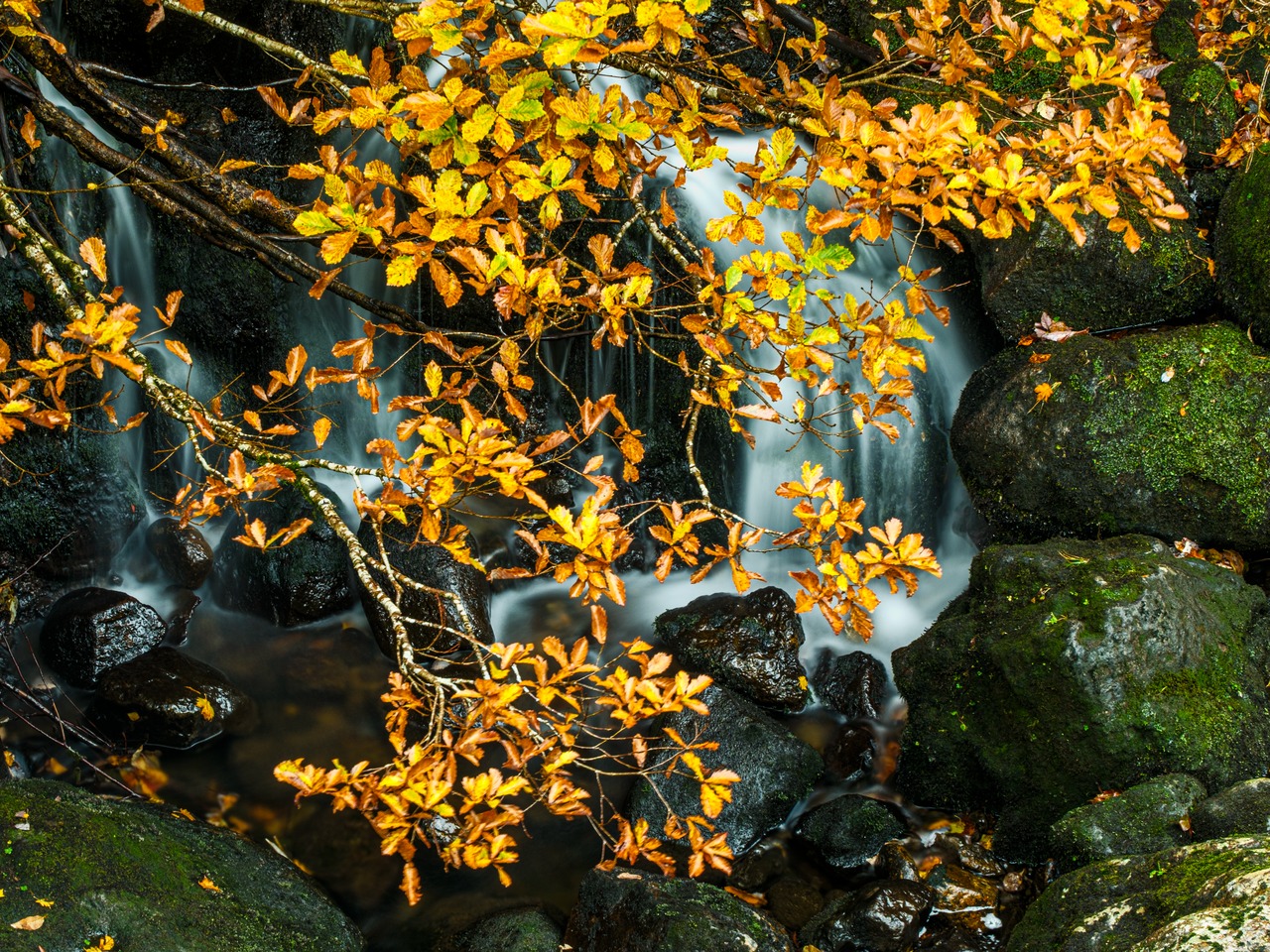 風景撮影を楽しむ やさしい写真教室 一日体験 10月末まで