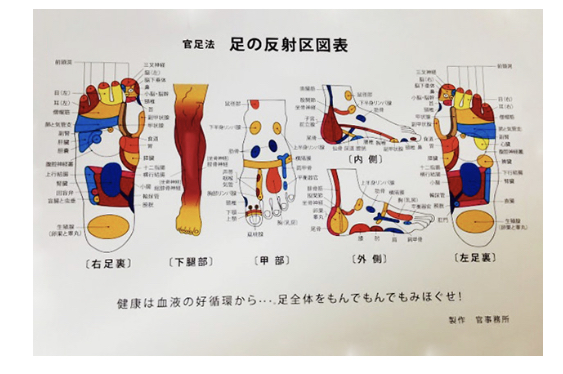 足もみで元気と健康の底上げ! 足から整えよう(全6回) 秋号新講座 全6回 10/16・11/20・12/18・1/15・2/19・3/19(金)