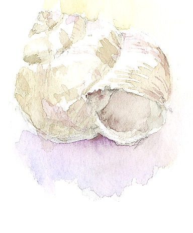 やさしいスケッチ画