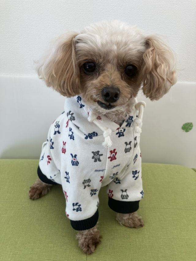 ★犬服ハンドメイド 秋の新講座 9/18・10/16新講座体験会