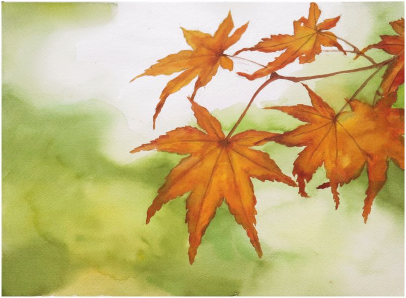 誰でも描ける 色鉛筆画・水彩画の基本 秋の新講座 9/24/10/22(木) 特別体験会