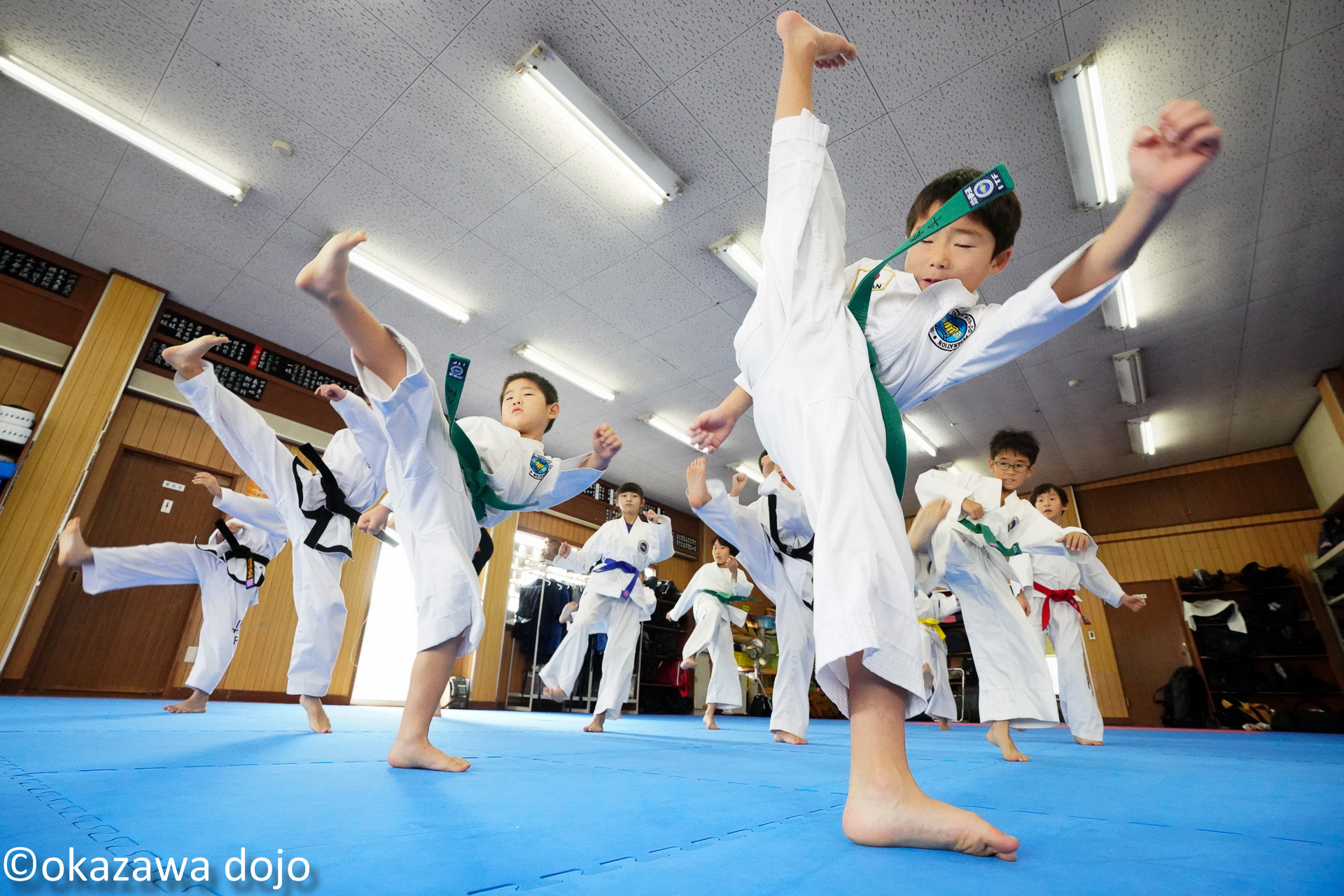 テコンドーで強くなろう! こどもテコンドー教室 秋号新講座 9/26・10/3特別体験会