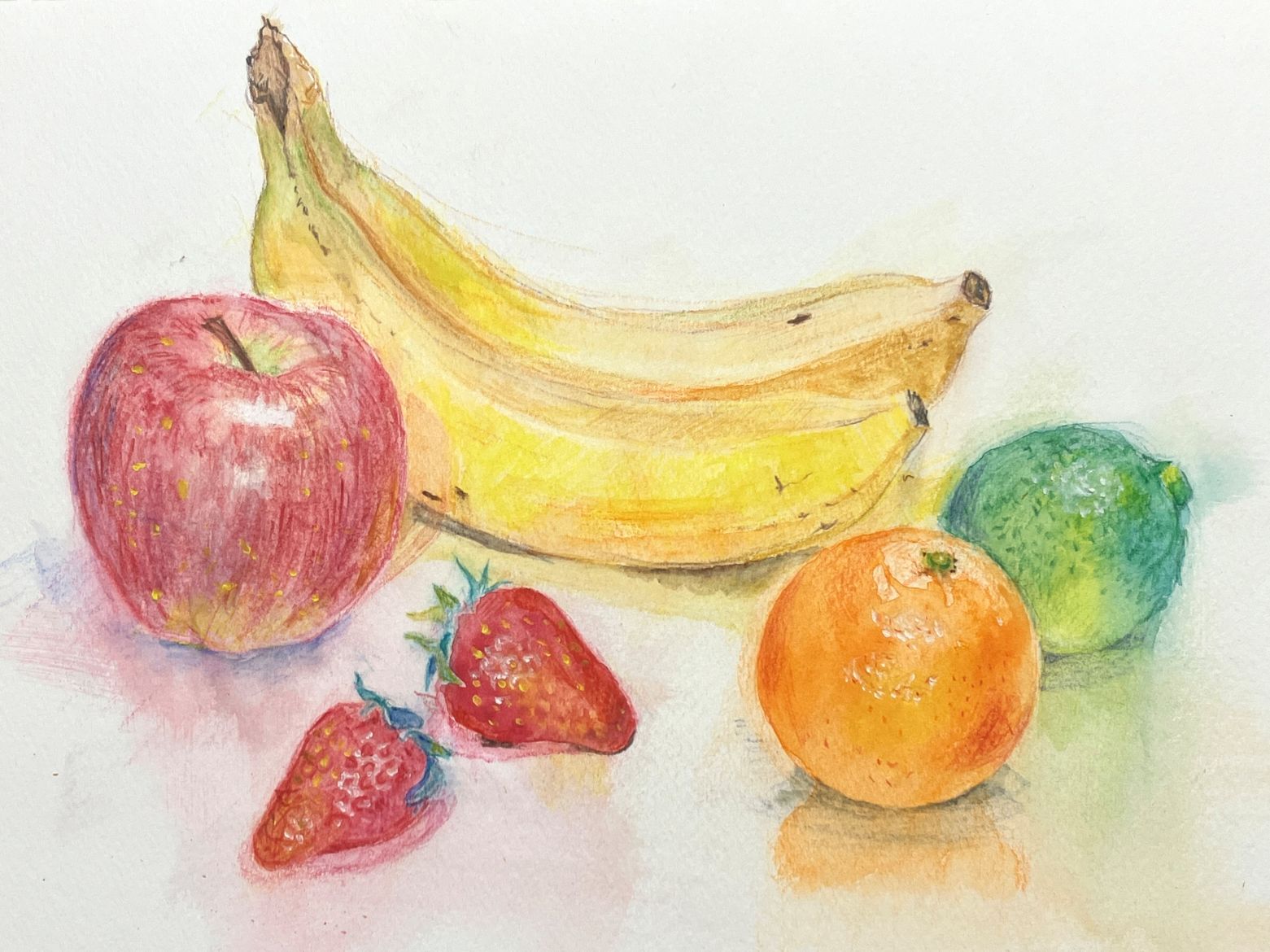 デッサンから彩色まで基礎を大切に 描きたい想いを形にする絵画教室