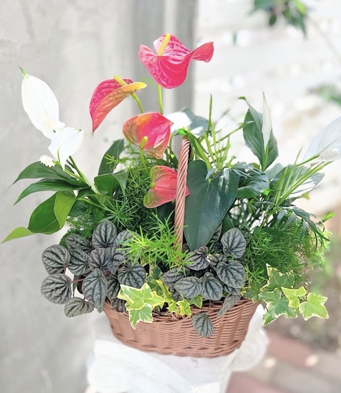 季節の花束 寄せ植えギャザリング 秋の新講座 9/26(土)特別体験会