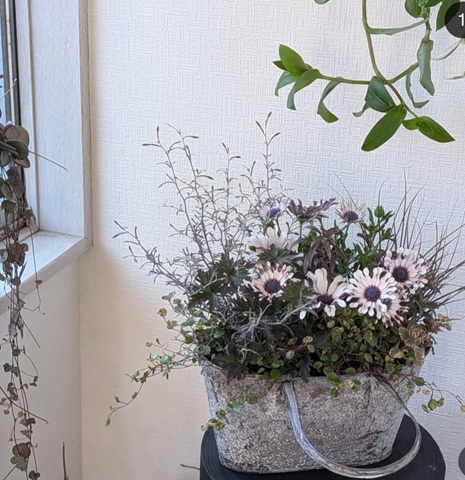 人気の寄せ植え技法 あおき式プランツギャザリング 秋の新講座 9/28・10/26(月)