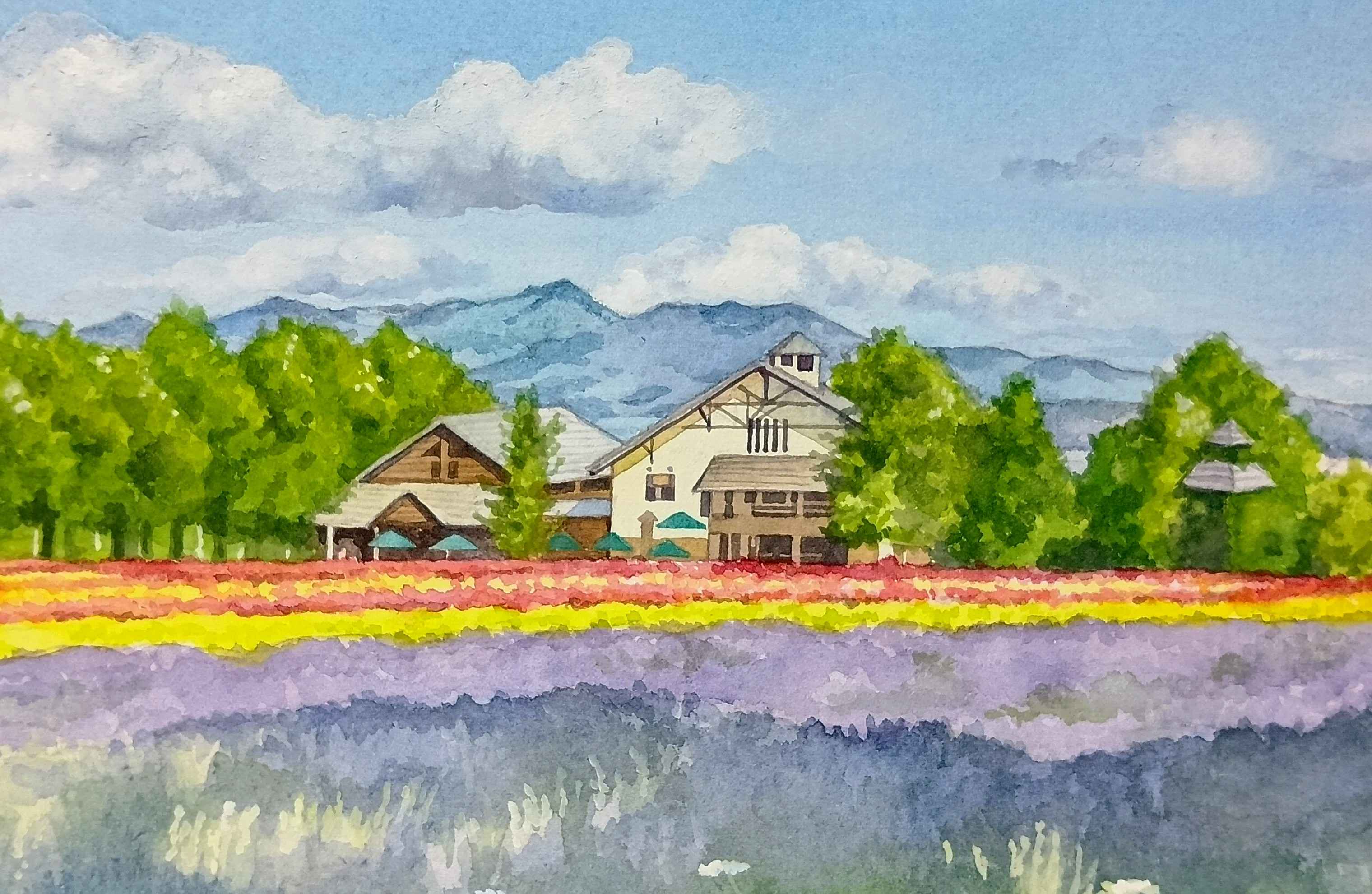 風景画の旅～透明水彩・アクリル～