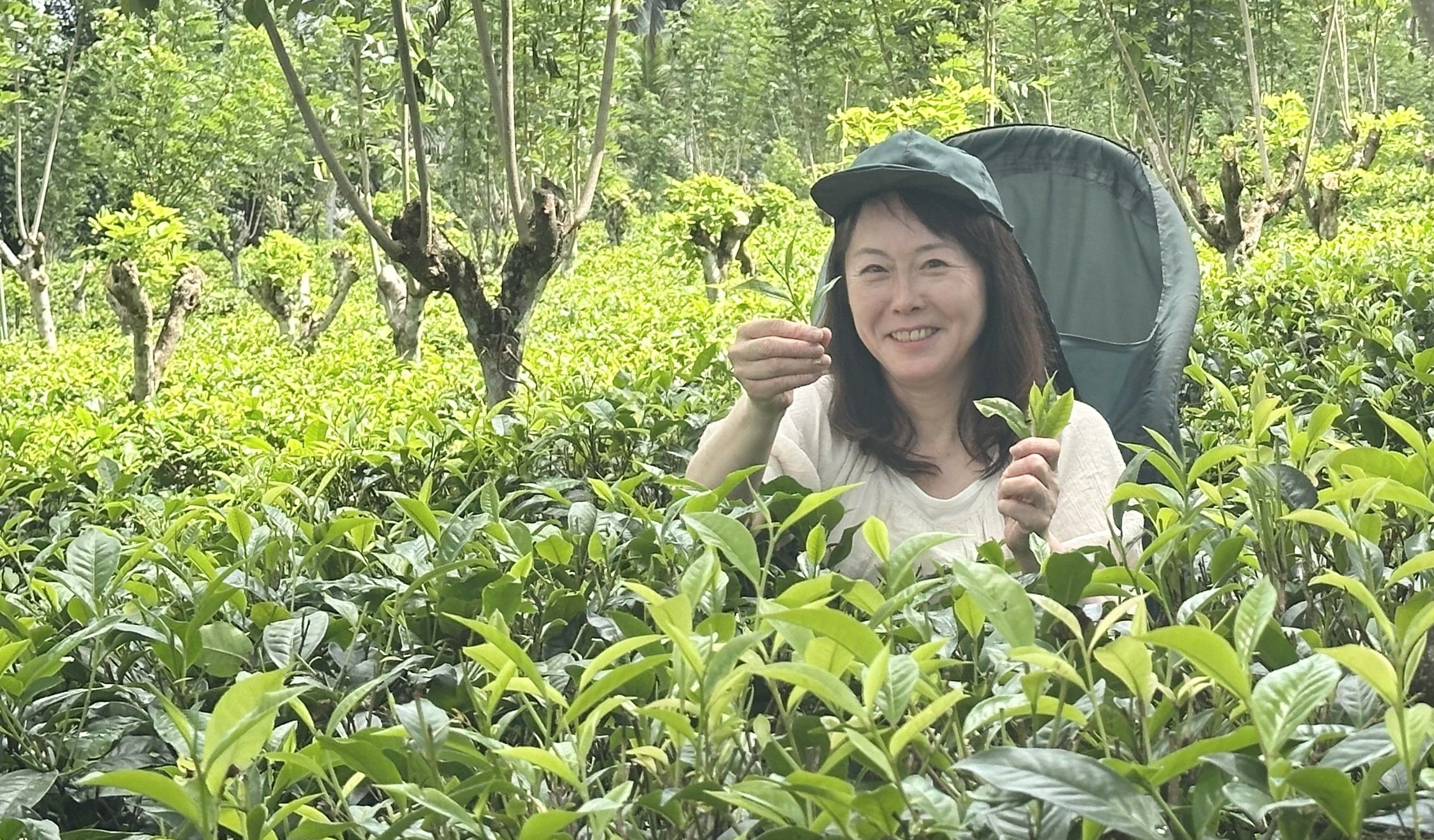 暮らしを彩る紅茶レッスン(全3回) 秋の新講座 10/2(金)スタート