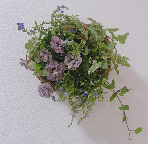 人気の寄せ植え技法 あおき式プランツギャザリング 秋の新講座 9/28・10/26(月)