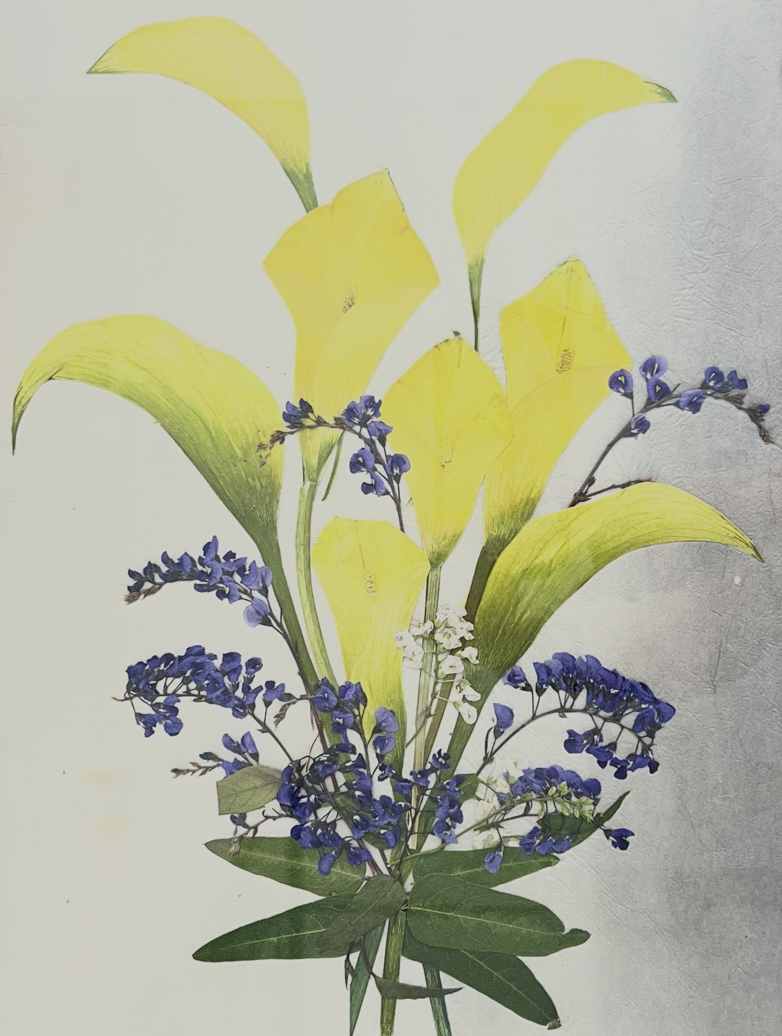 小物から花絵額まで楽しめる 押し花教室 秋の新講座 10/2、16(金) 特別体験会開催