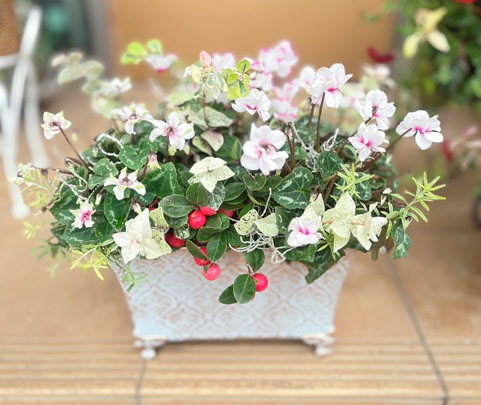 今人気の新しい園芸手法 寄せ植えギャザリングレッスン