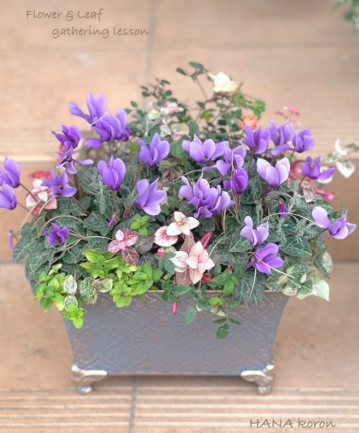 今人気の新しい園芸手法 寄せ植えギャザリングレッスン