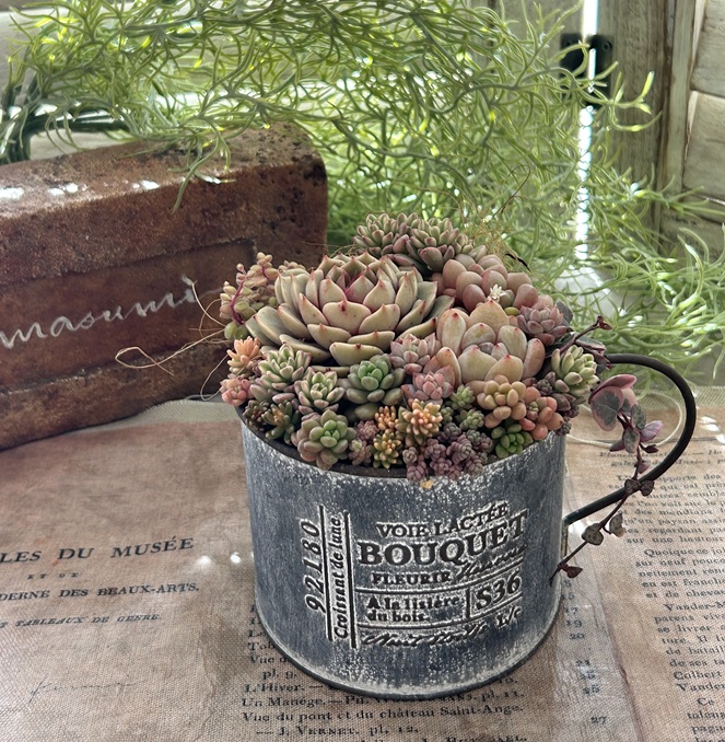 可愛くスタイリング 多肉植物の寄せ植え講座