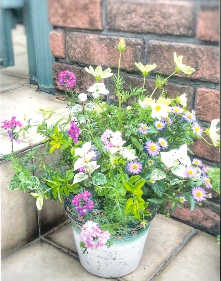 花束のような寄せ植え 寄せ植えギャザリング 秋のおすすめ講座★10月末まで★特別体験会