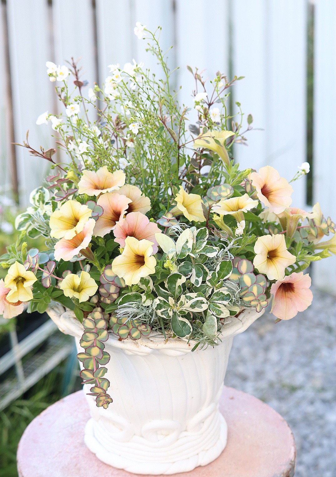 根付き植物を花束のように植える ギャザリング寄せ植え教室 ■秋の新講座 9月14日(月)特別体験会