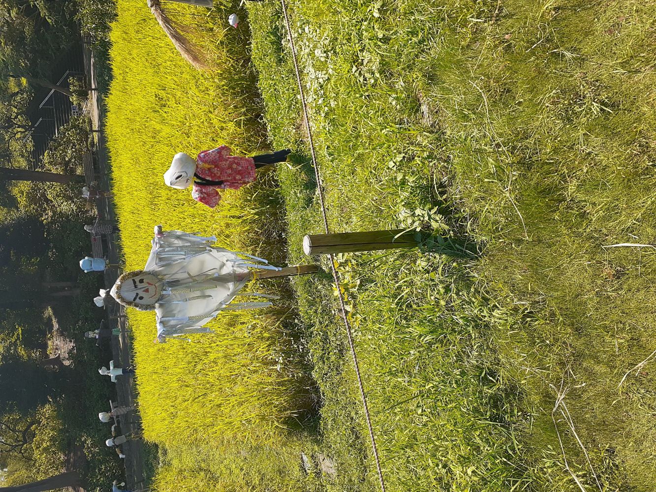 健やか俳句会入門