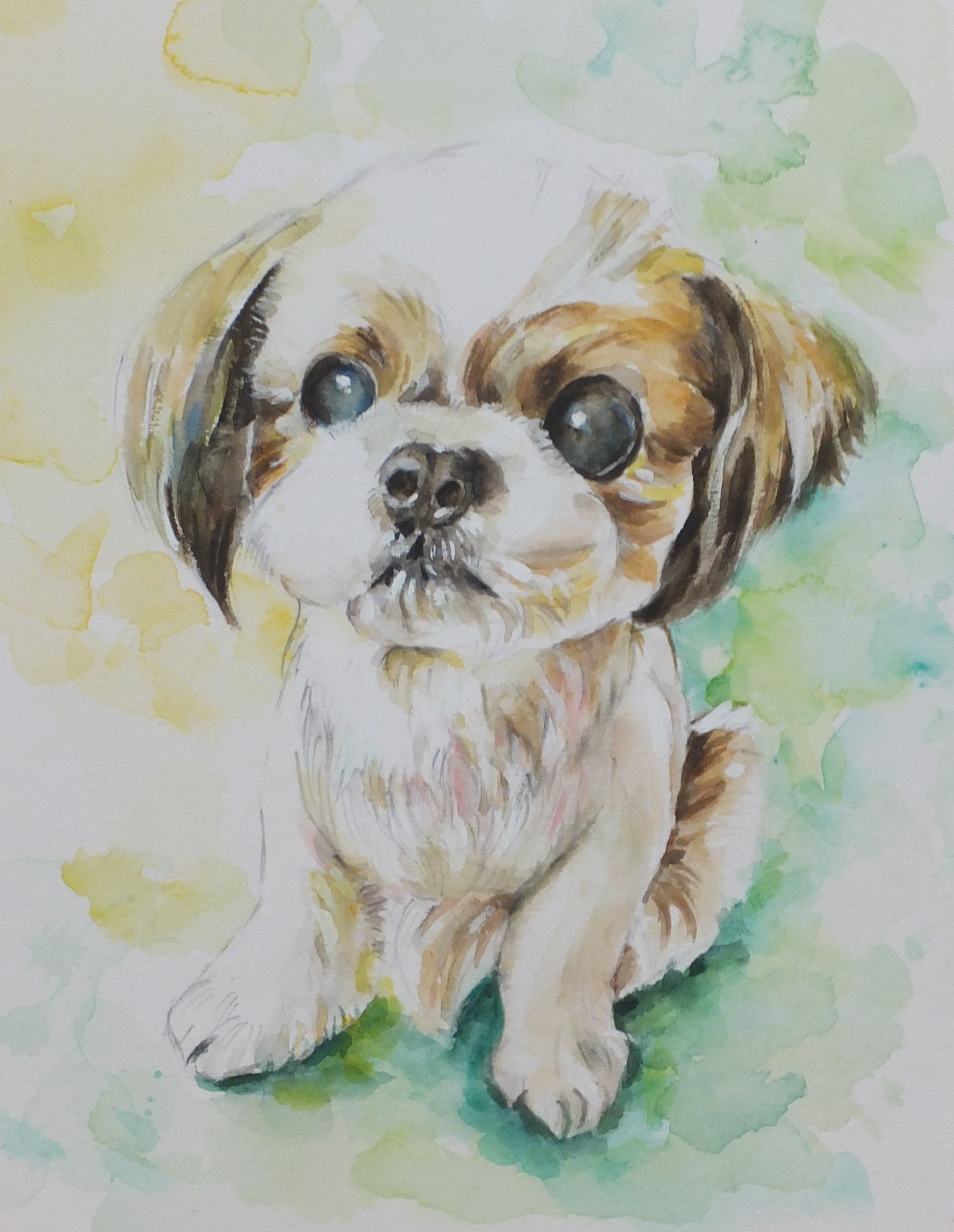 透明水彩絵の具で描く 愛しのペット画 ★秋の新講座★9/16、10/7(水)特別体験会