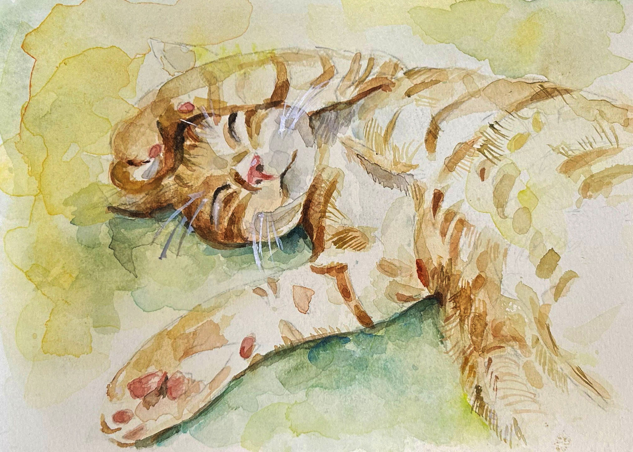 透明水彩絵の具で描く 愛しのペット画 ★秋の新講座★9/16、10/7(水)特別体験会