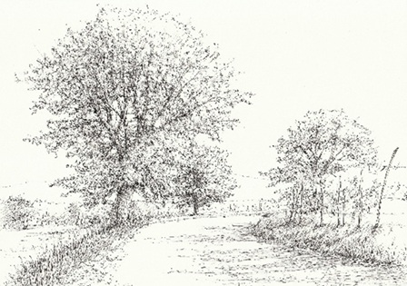 絵を始めたい方に はじめてのペン画