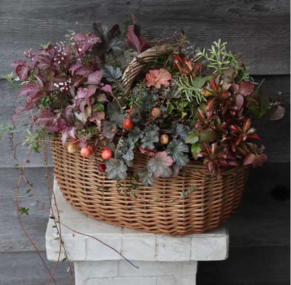 季節のお花を楽しもう 寄せ植えギャザリング