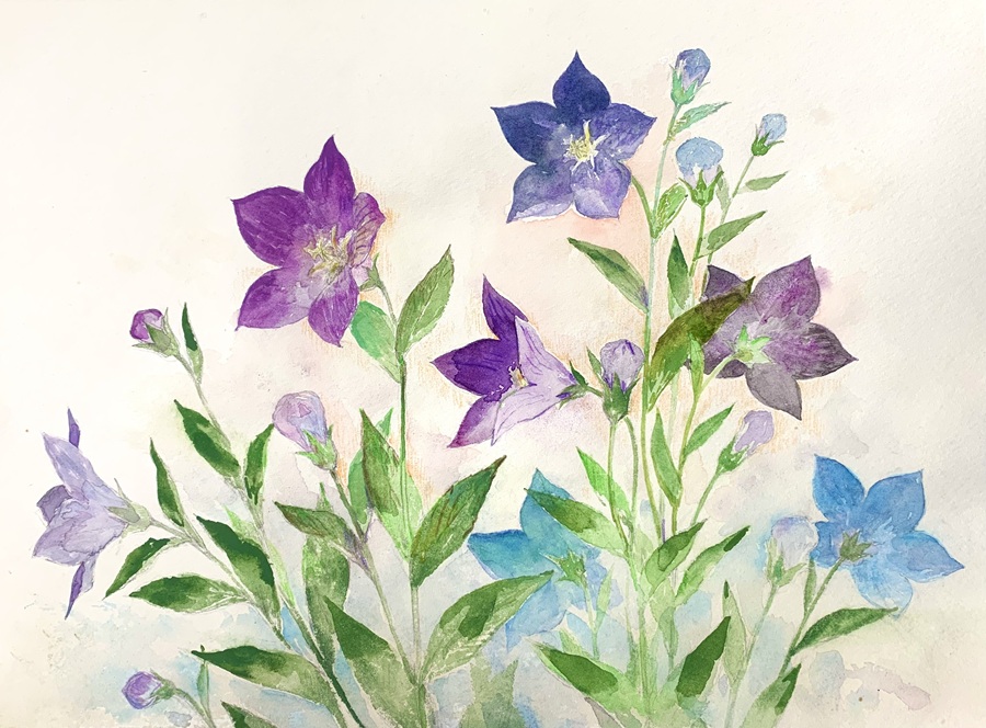 基礎から学べる はじめての植物画 秋の新講座