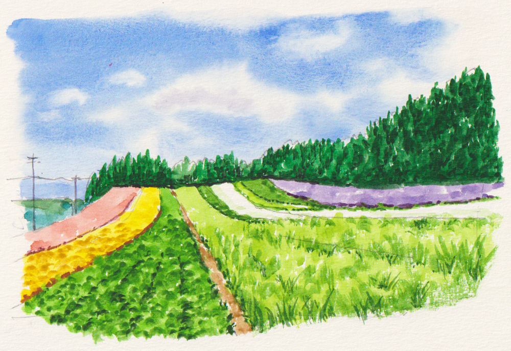 絵の描き方 基礎の基礎