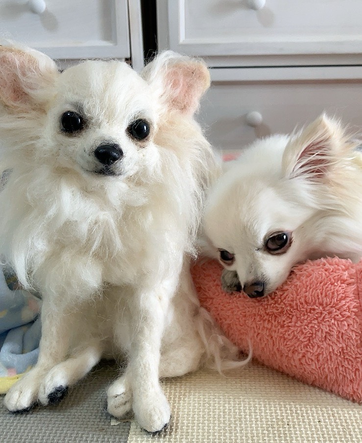 中山みどり監修 羊毛フェルトで愛犬・愛猫を 作ろう 新講座 10月10日(土)スタート