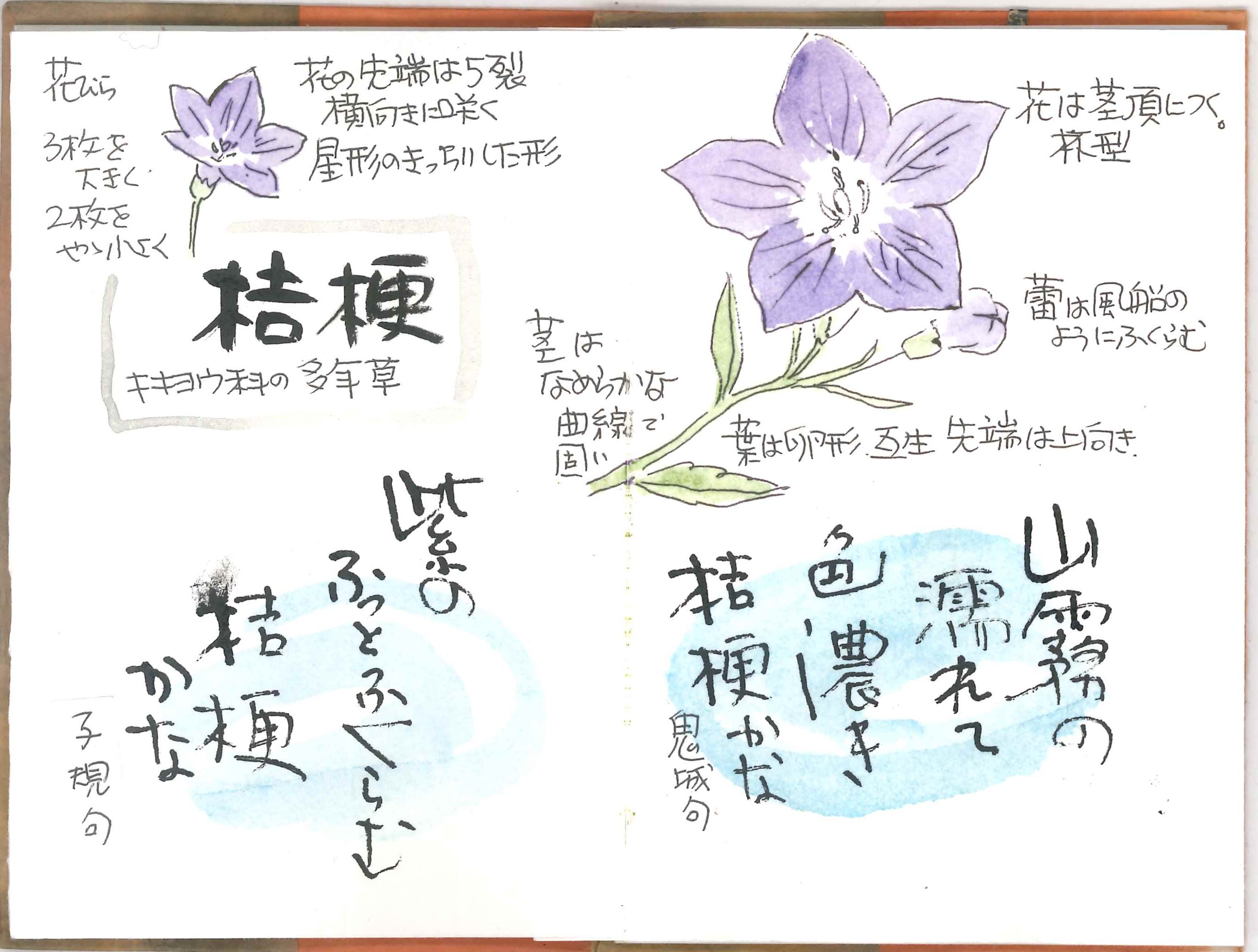 遊びごごろを発揮して 自分の思いを形に インテリア書道 ■10/12(月)特別体験会
