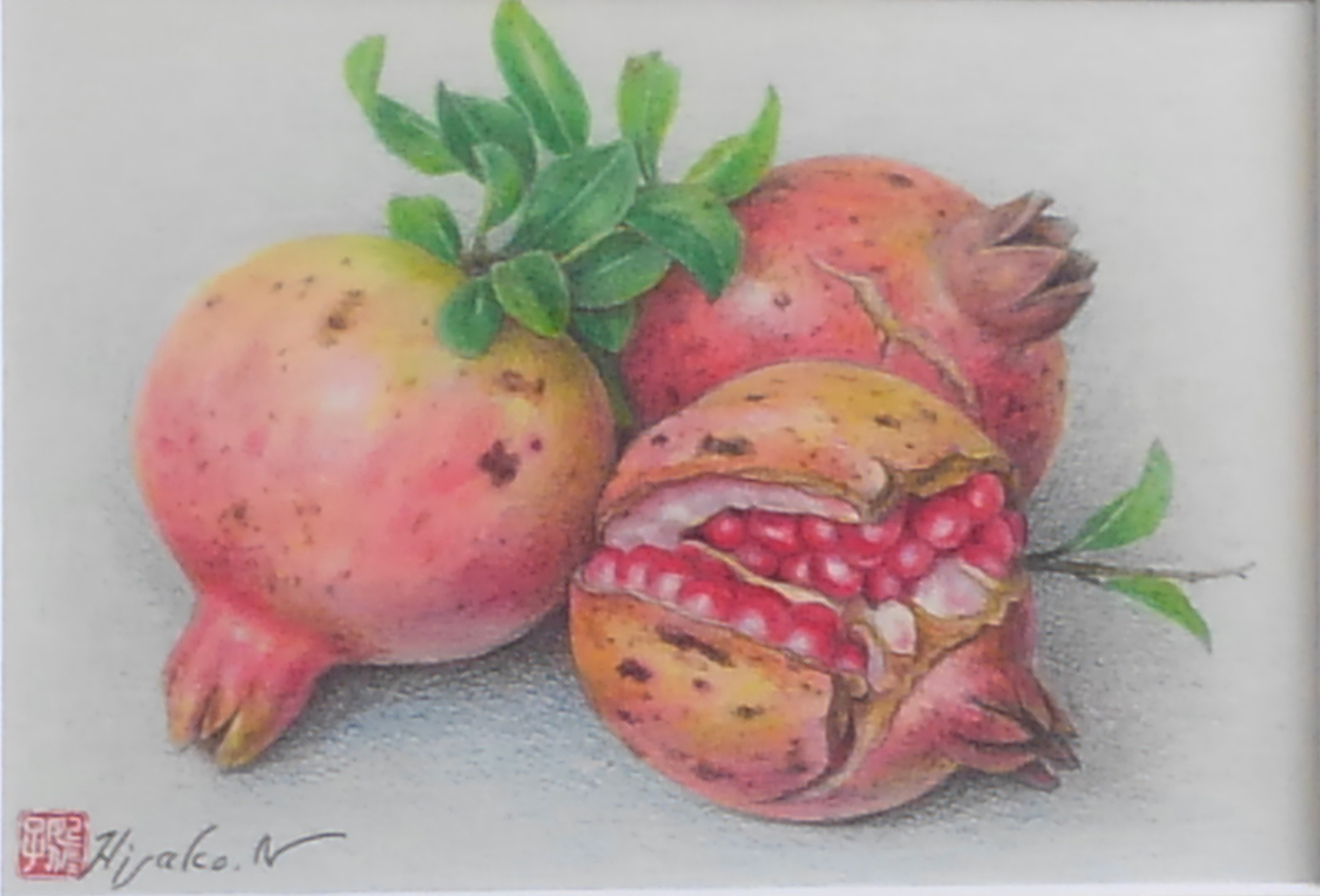 初心者から始める はじめての色鉛筆画