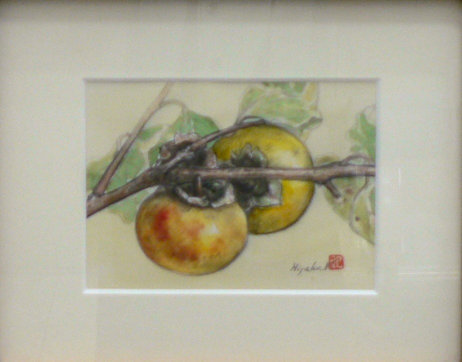 初心者から始める はじめての色鉛筆画