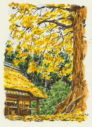 絵心よりもルールで描く 水彩画6つのルール 既存講座9/5(土)・10/3(土)体験会