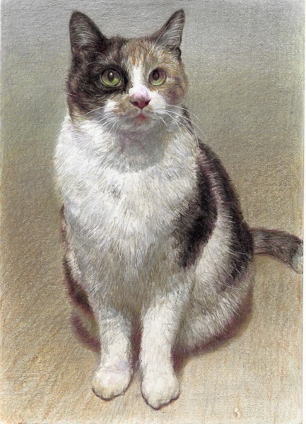 初心者でも描ける 色鉛筆画・水彩画の基礎 体験会 11/2(月) 体験費1.100円 教材費660円