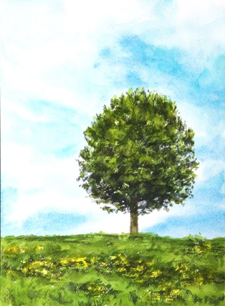 初心者でも描ける 色鉛筆画・水彩画の基礎 体験会 11/2(月) 体験費1.100円 教材費660円