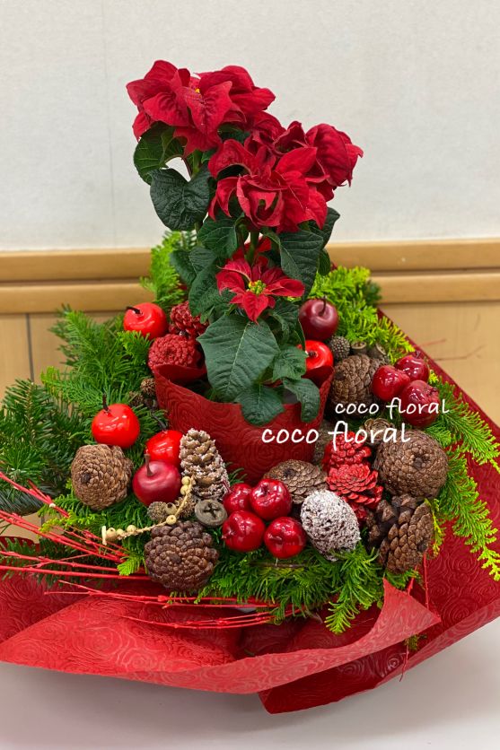 MerryXmas☆ Xmasフラワーアレンジ 冬の1DAY講座 12/16(水)