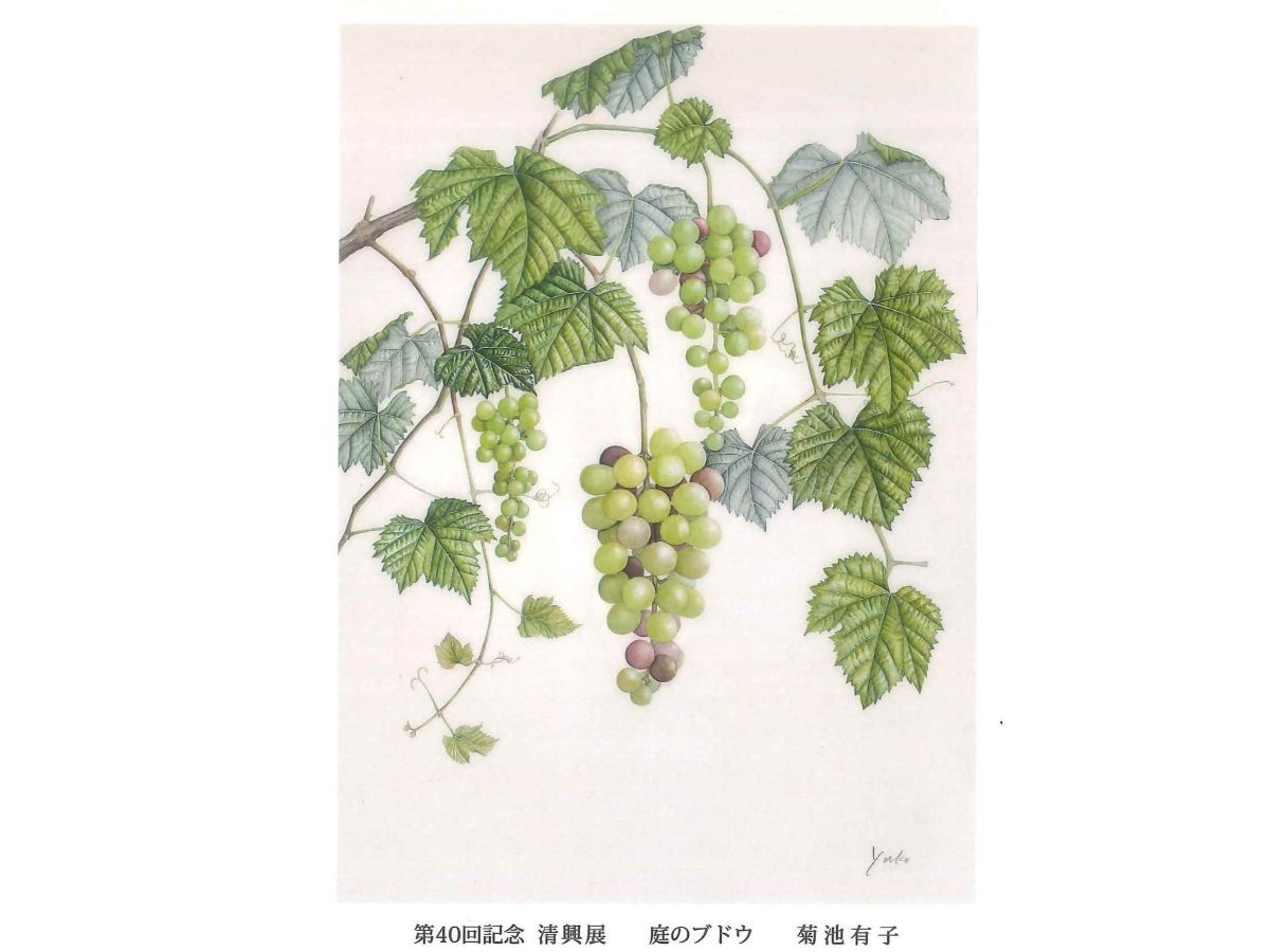 菊池 有子